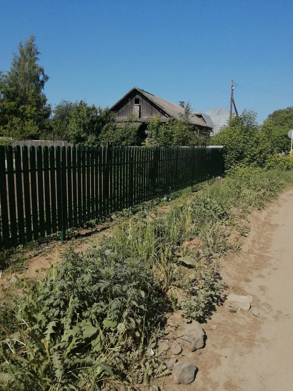 Теперь и евроштакетник!